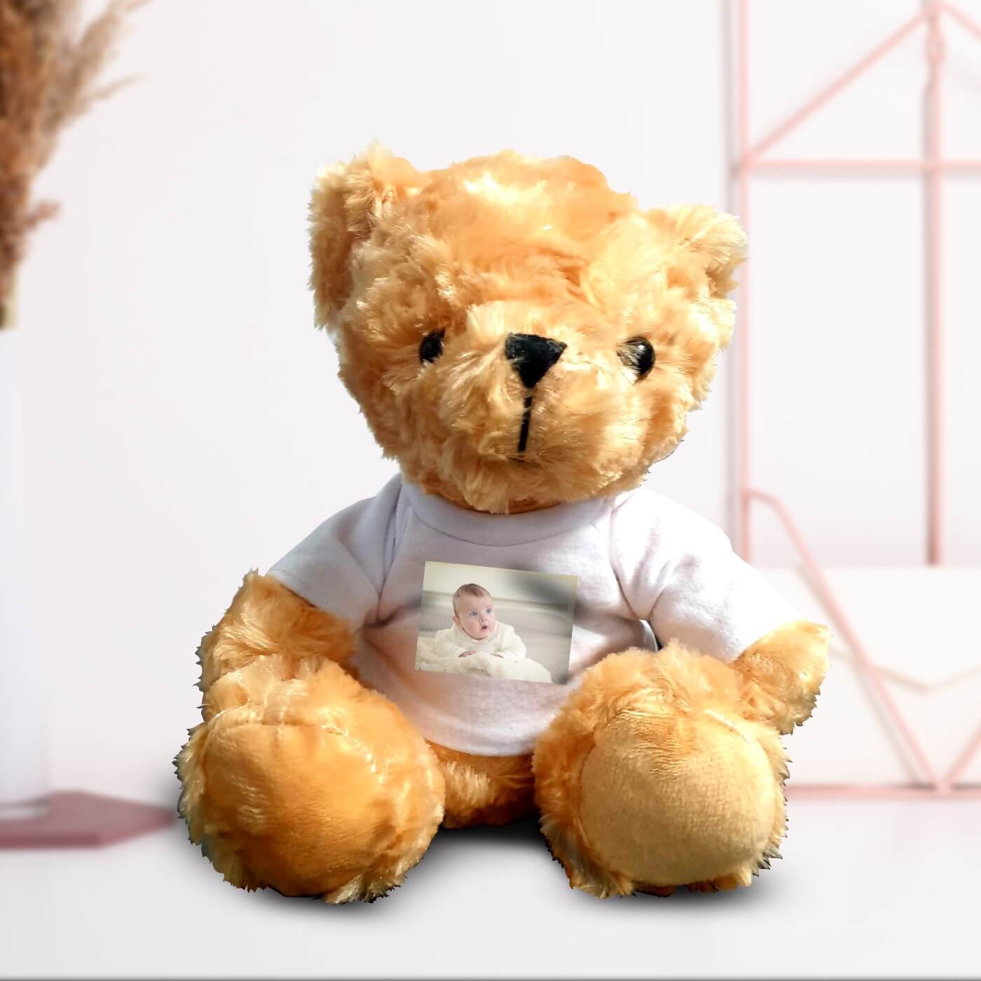 Photo Teddy Bear